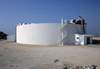 /album/fotogalerie/palm-jpg/